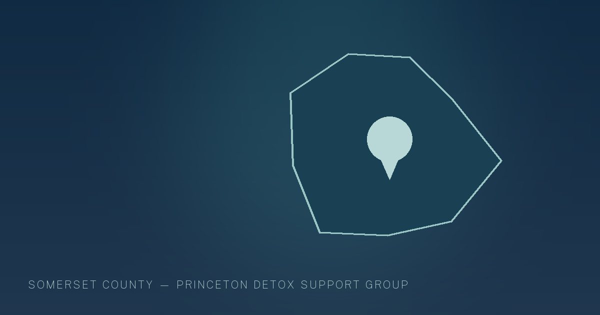 Illustration in the site's navy and teal palette showing a simplified New Jersey county outline with a single location marker, marking this guide to Addiction Treatment Resources in Somerset County, NJ.
