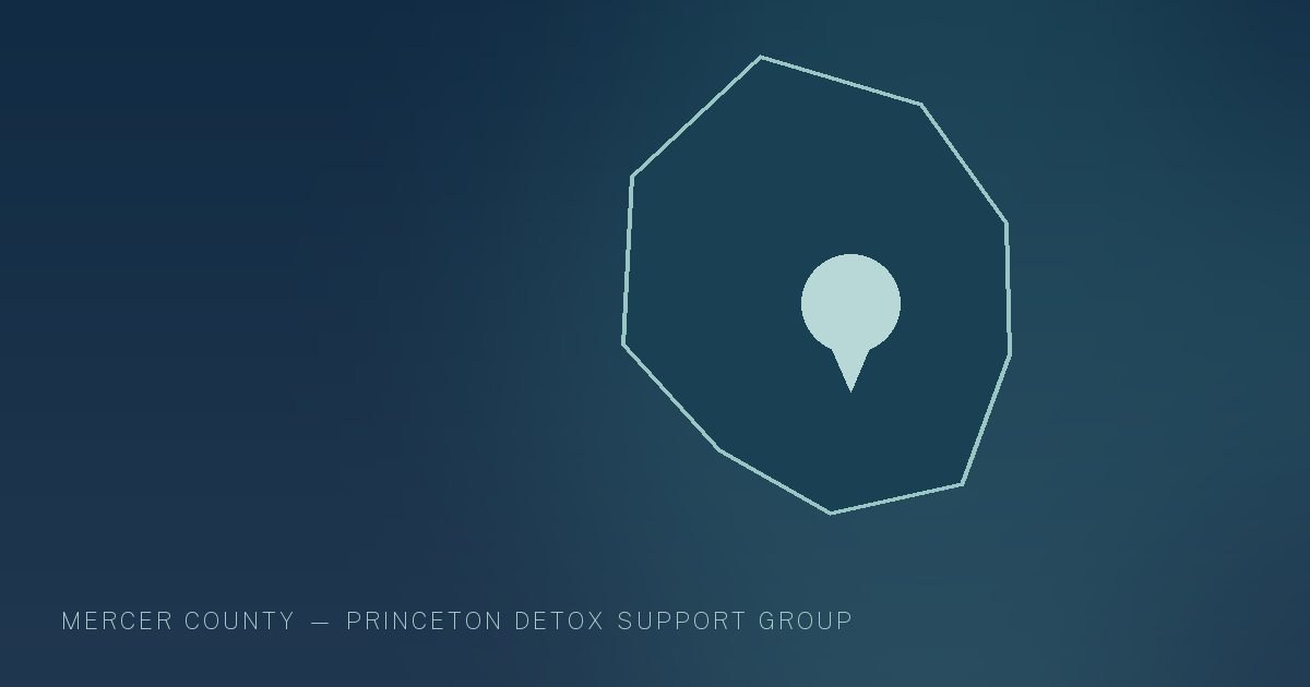 Illustration in the site's navy and teal palette showing a simplified New Jersey county outline with a single location marker, marking this guide to Find Detox & Rehab Options in Princeton, NJ.