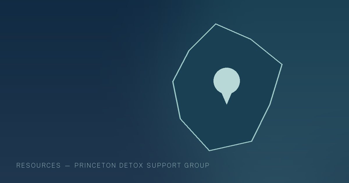 Illustration in the site's navy and teal palette showing a simplified New Jersey county outline with a single location marker, marking this guide to Princeton Addiction and Recovery Resources.